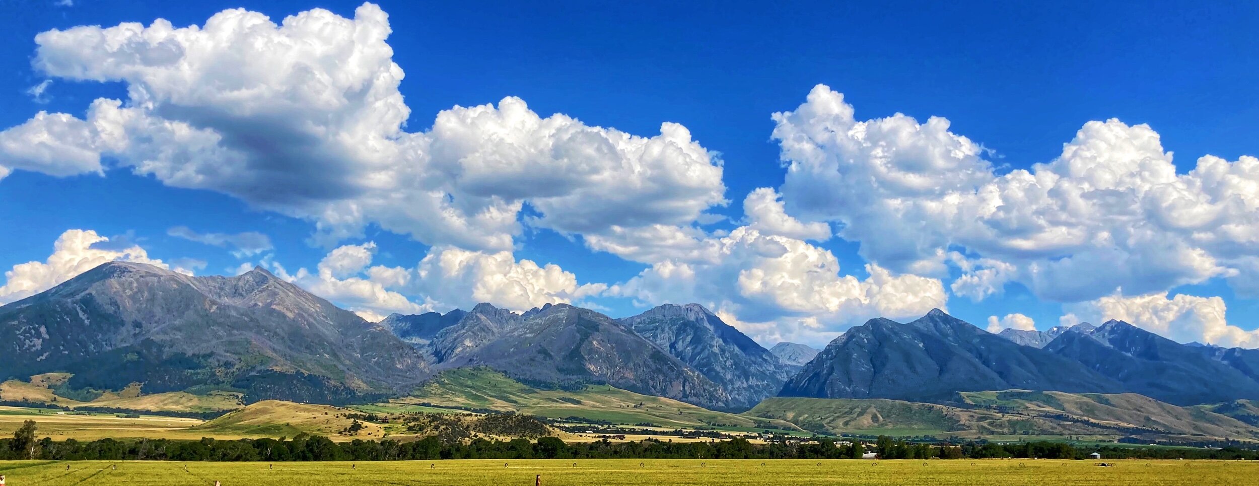 All Around Montana