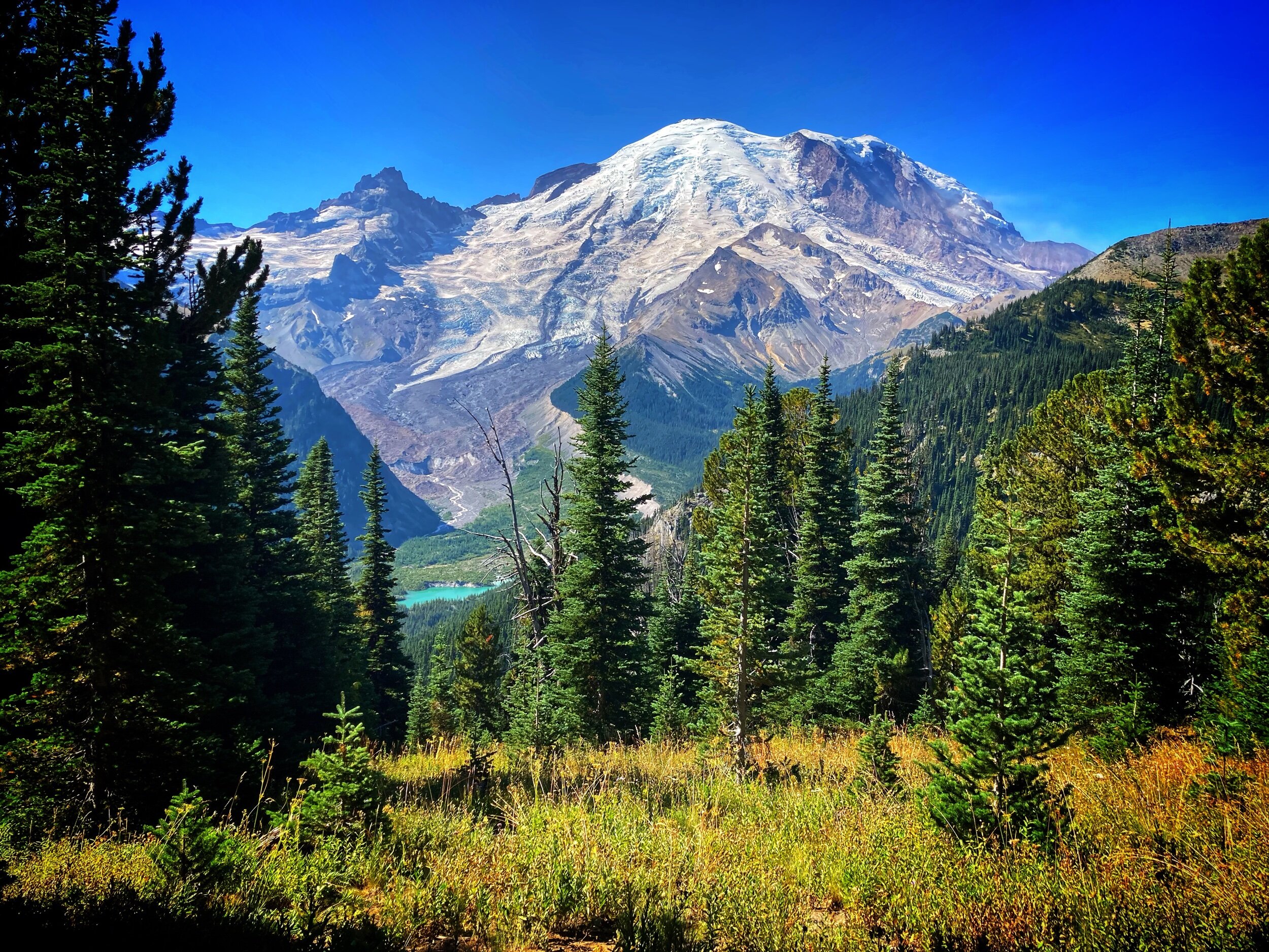 Mount Rainier National Park – Washington
