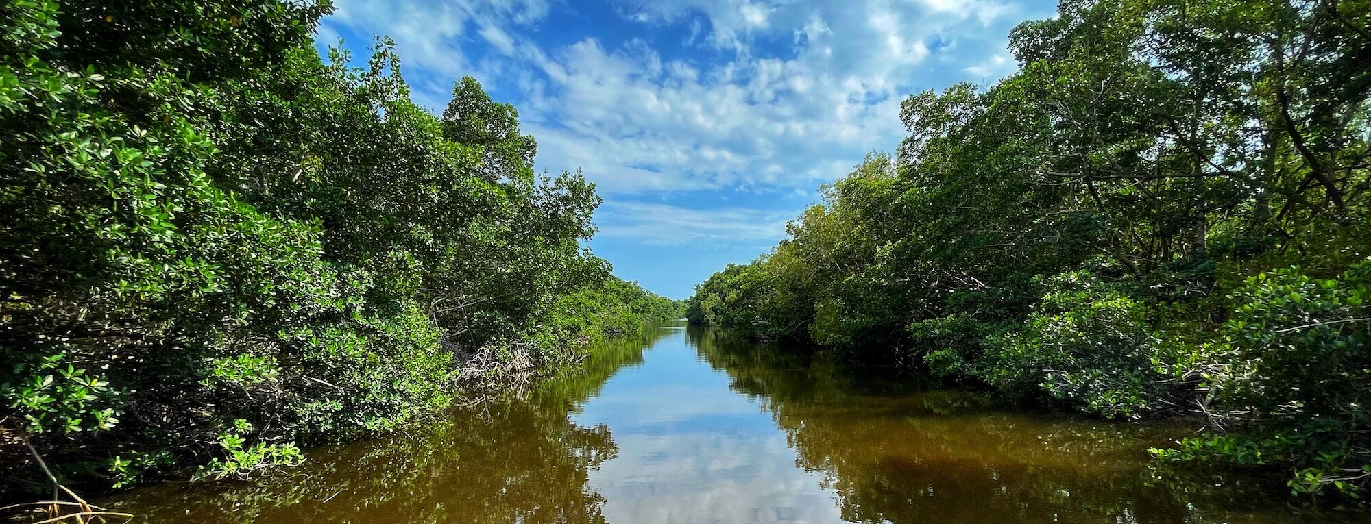Everglades National Park – Florida