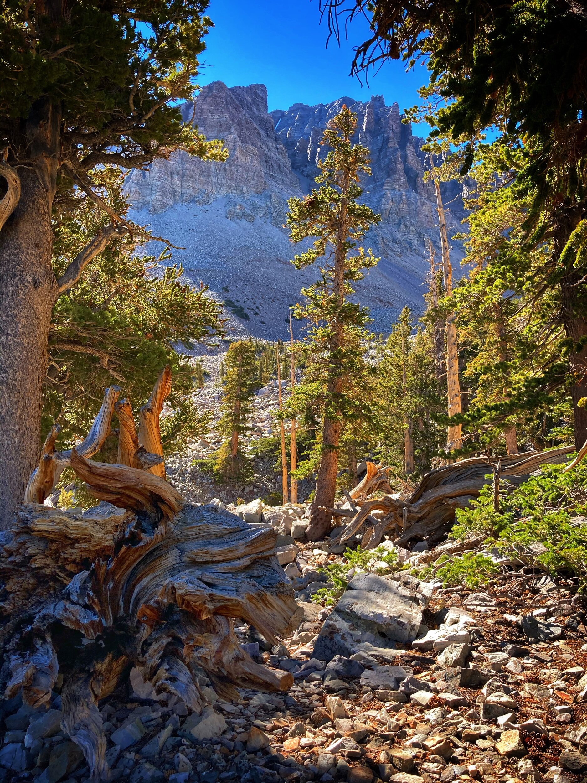 Great Basin National Park – Nevada